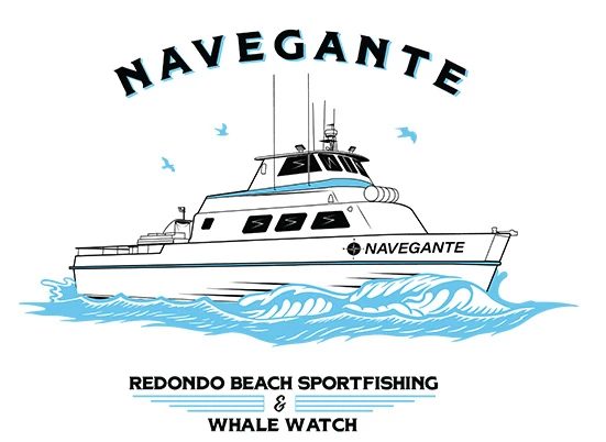 Navegante